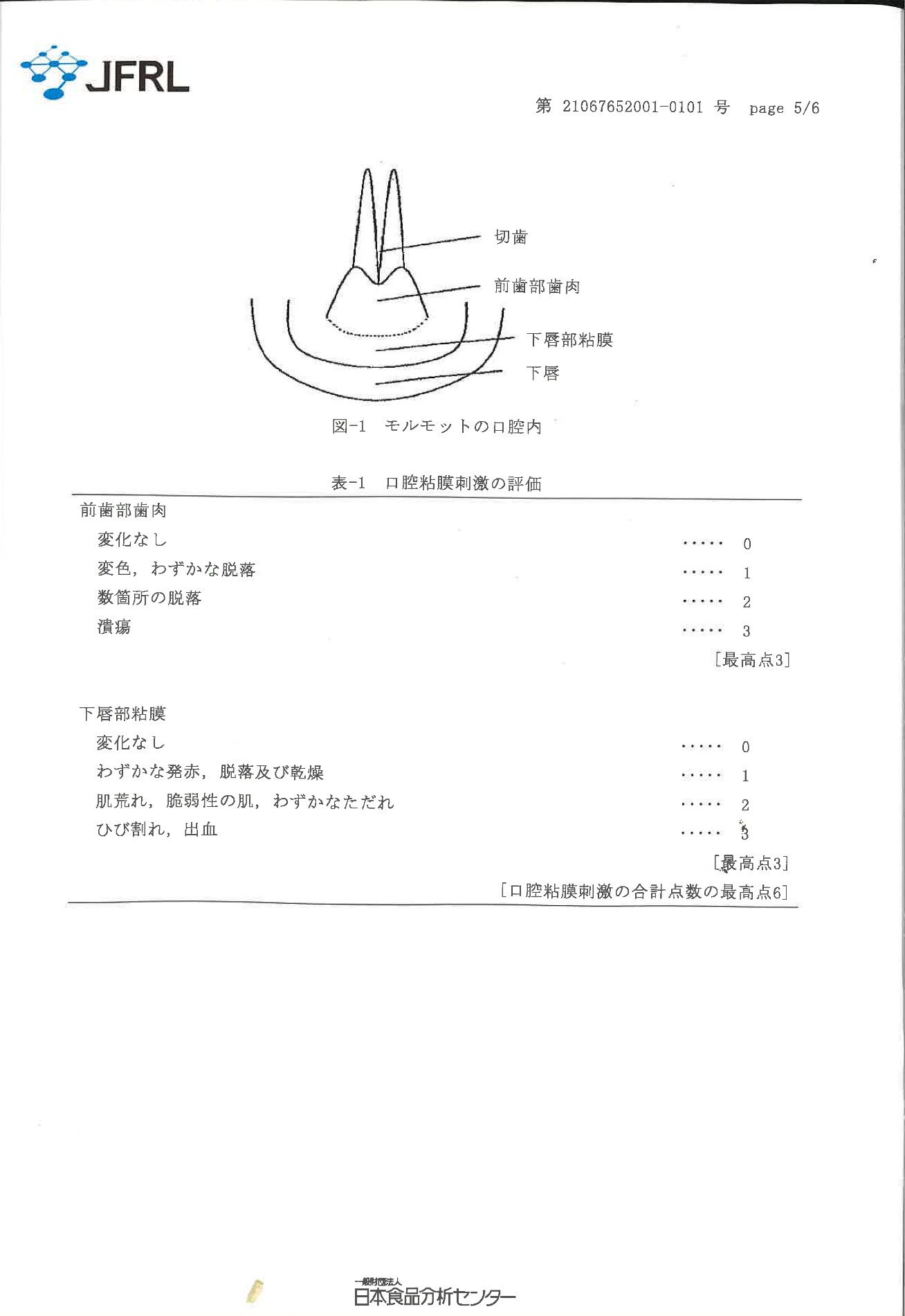 モルモットを用いる口腔粘膜刺激性試験の写真4